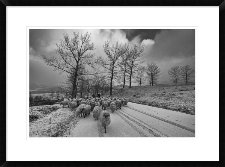 "Pastoral" Framed Digital Print by Julien Oncete, 30x22"