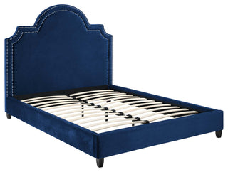 Navy Primrose Queen Performance Velvet Platform Bed