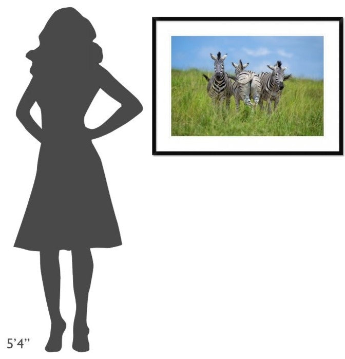 "Curious / Annoyed / Curious" Framed Print by Andreas Feldtkeller, 38"x28"