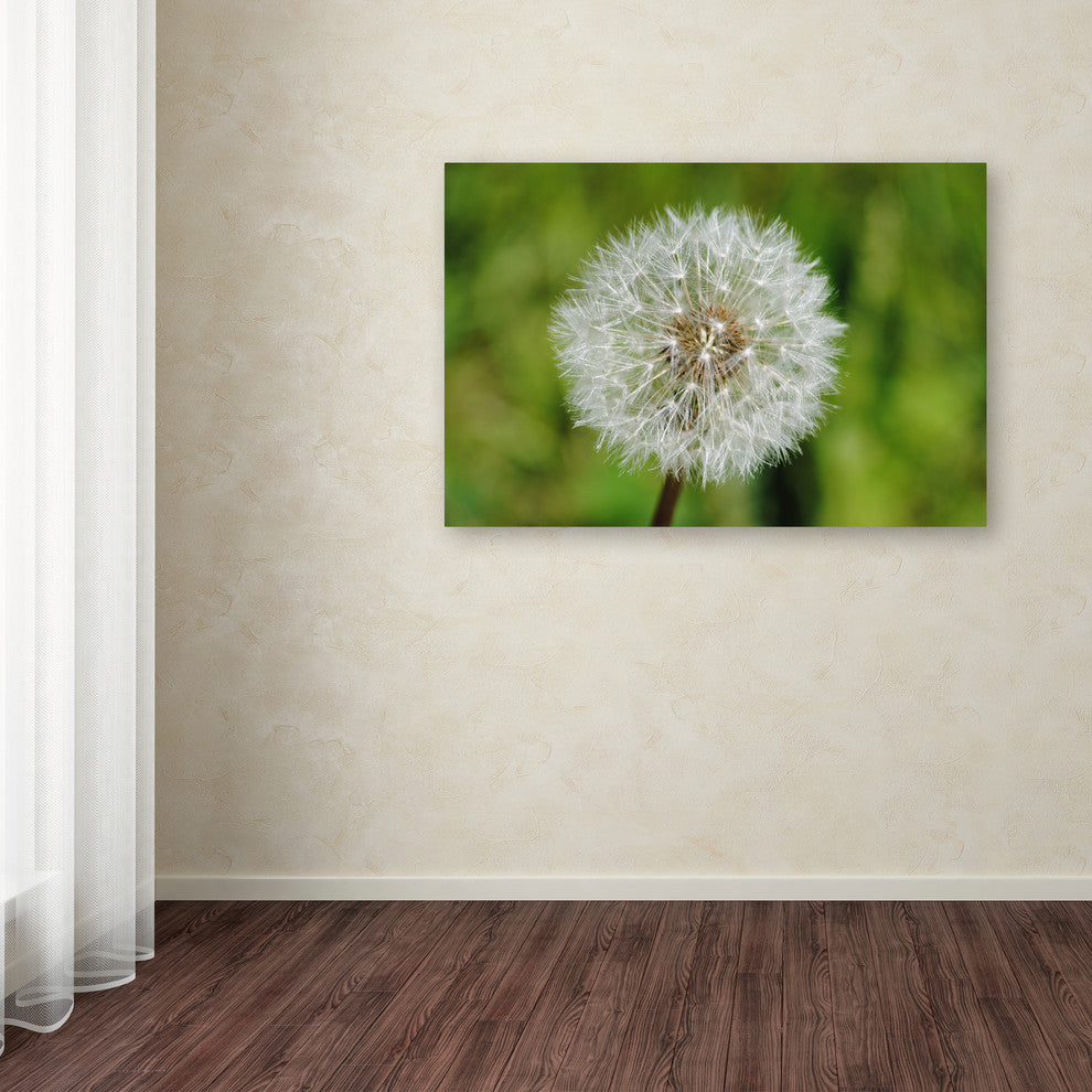 ''Make a Wish'' Canvas Art by Monica Mize