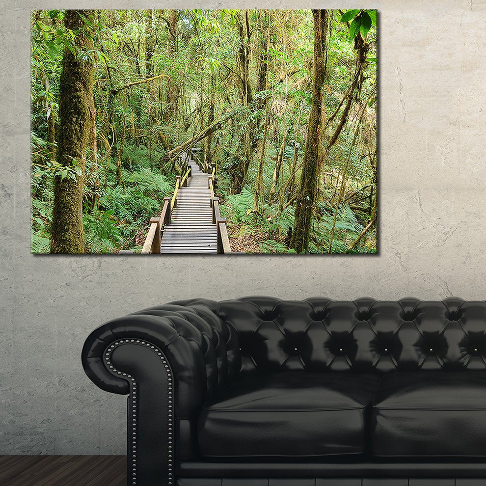 "Walk Way in Deep Forest" Landscape Canvas Photo Print, 40"x30"
