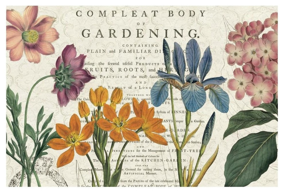 "Botany" Digital Paper Print by Sue Schlabach, 26"x18"