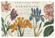 "Botany" Digital Paper Print by Sue Schlabach, 26"x18"