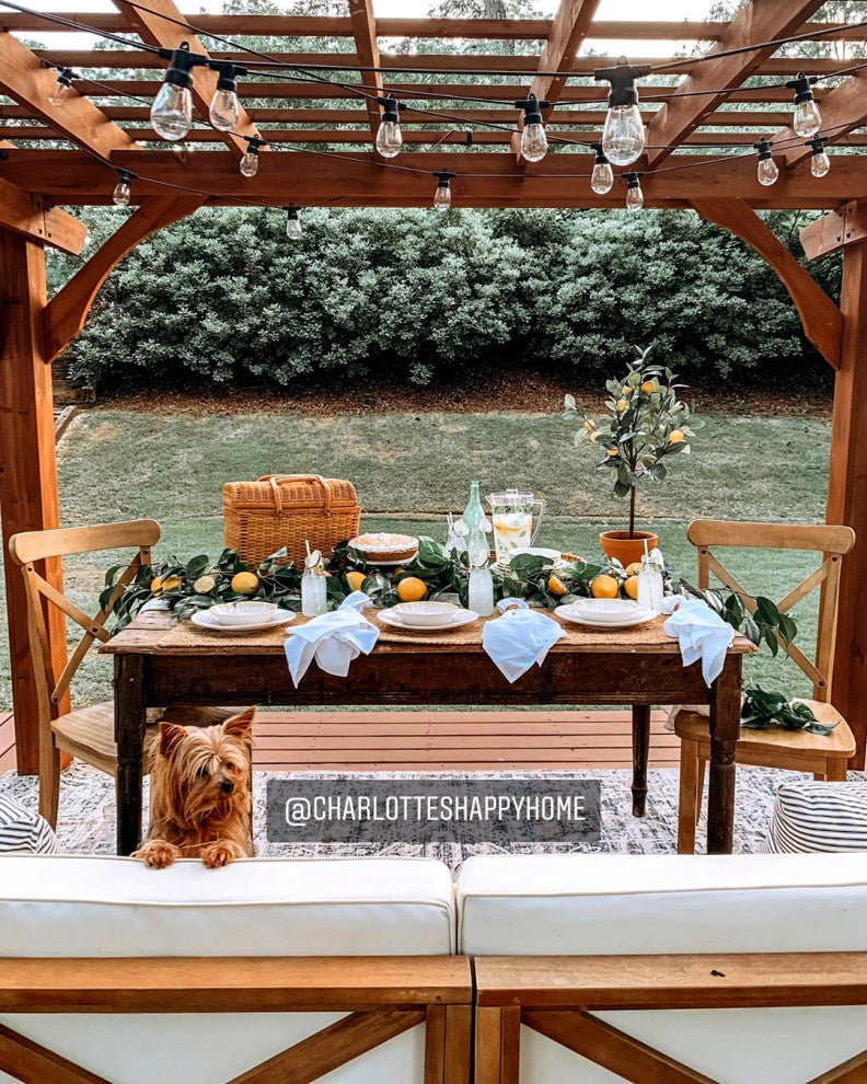 Ambience Pro, Weatherproof, Solar Outdoor String Lights, 1W, 3000K, 48'