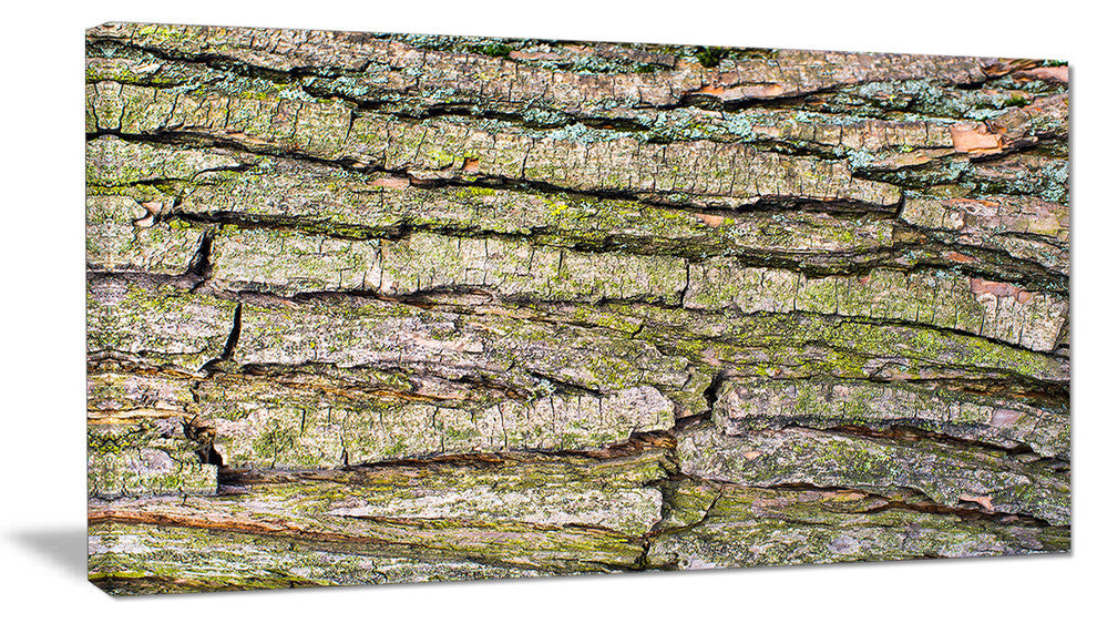 Thick Tree Skin Close Up, Floral Canvas Art Print, 40x20
