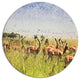Beautiful Antelope In Grass, African Landscape Disc Metal Artwork, 23"