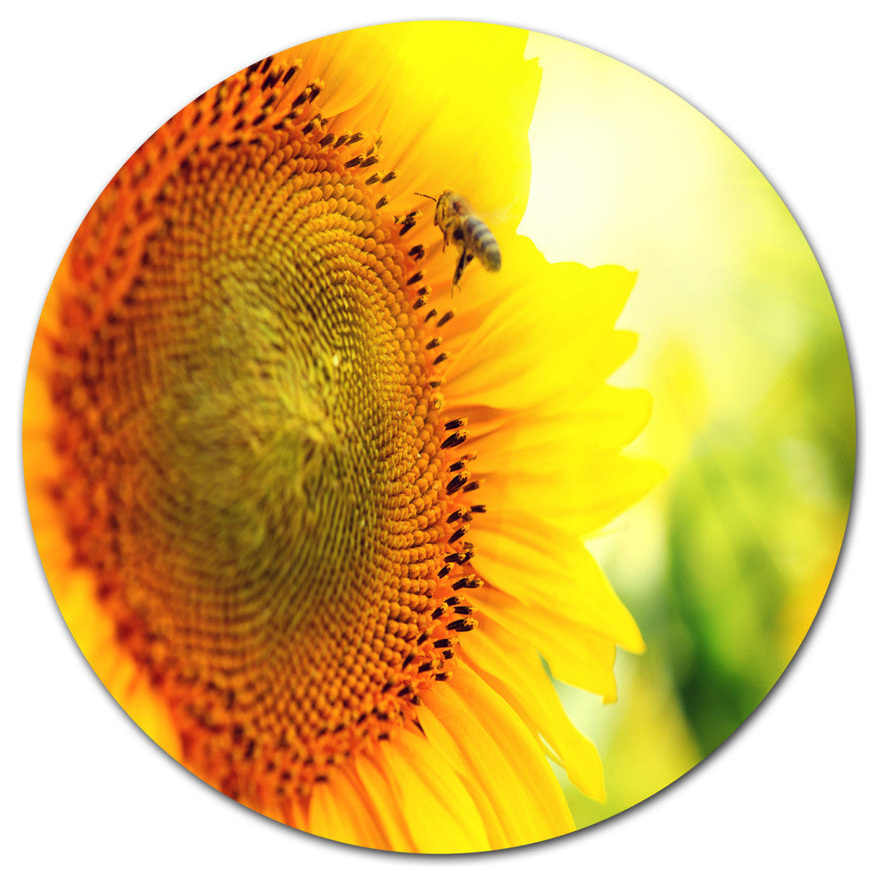 Sunflower Blooming On Field, Animal Disc Metal Artwork, 23"