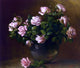 Charles Ethan Porter Roses Premium Canvas Print