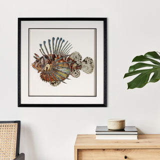 Aquatic Reverie, Shadow Box