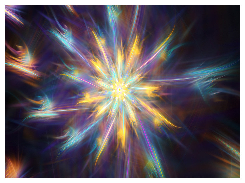 Shining Multi Color Exotic Flower, Floral Canvas Art Print, 40"x30"