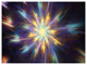 Shining Multi Color Exotic Flower, Floral Canvas Art Print, 40"x30"