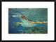 "Green Sea Turtle, Balicasag Island, Philippines"  by Tim Fitzharris, 26x20"
