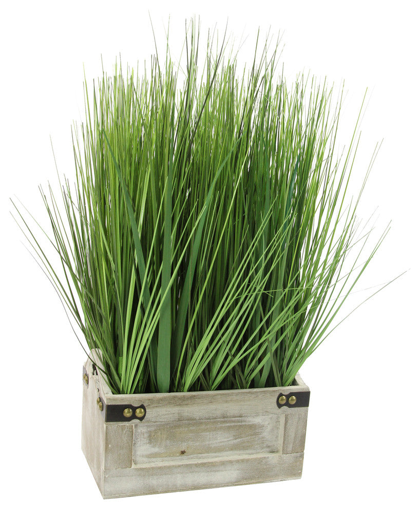 Front-facing, full product on white background; best overall representation of the desktop grass planter (primary_product).