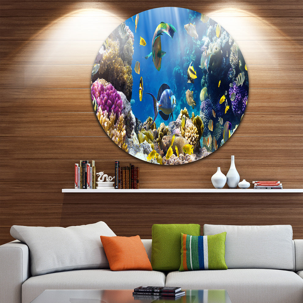 Fish In Coral Reef, Seascape Photography Round Wall Art, 23"