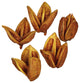 Vickerman H2SORB725-1 3-4" Aspen Gold Sora Pods, Bulk Case, 25 per Case, Dried