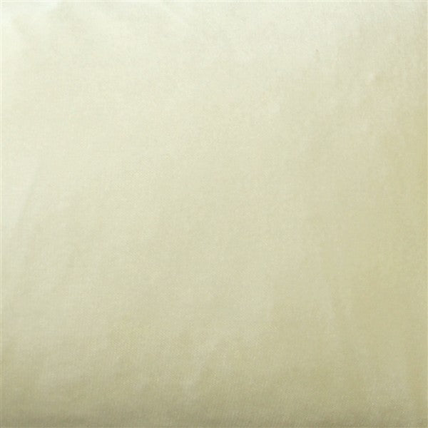 Pillow Decor - Corona Velvet Throw Pillow, Ivory, 19"x19"