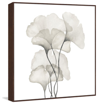 "Ginkgo Biloba Leaves" Floater Framed Painting Print, Canvas, 24"x24"