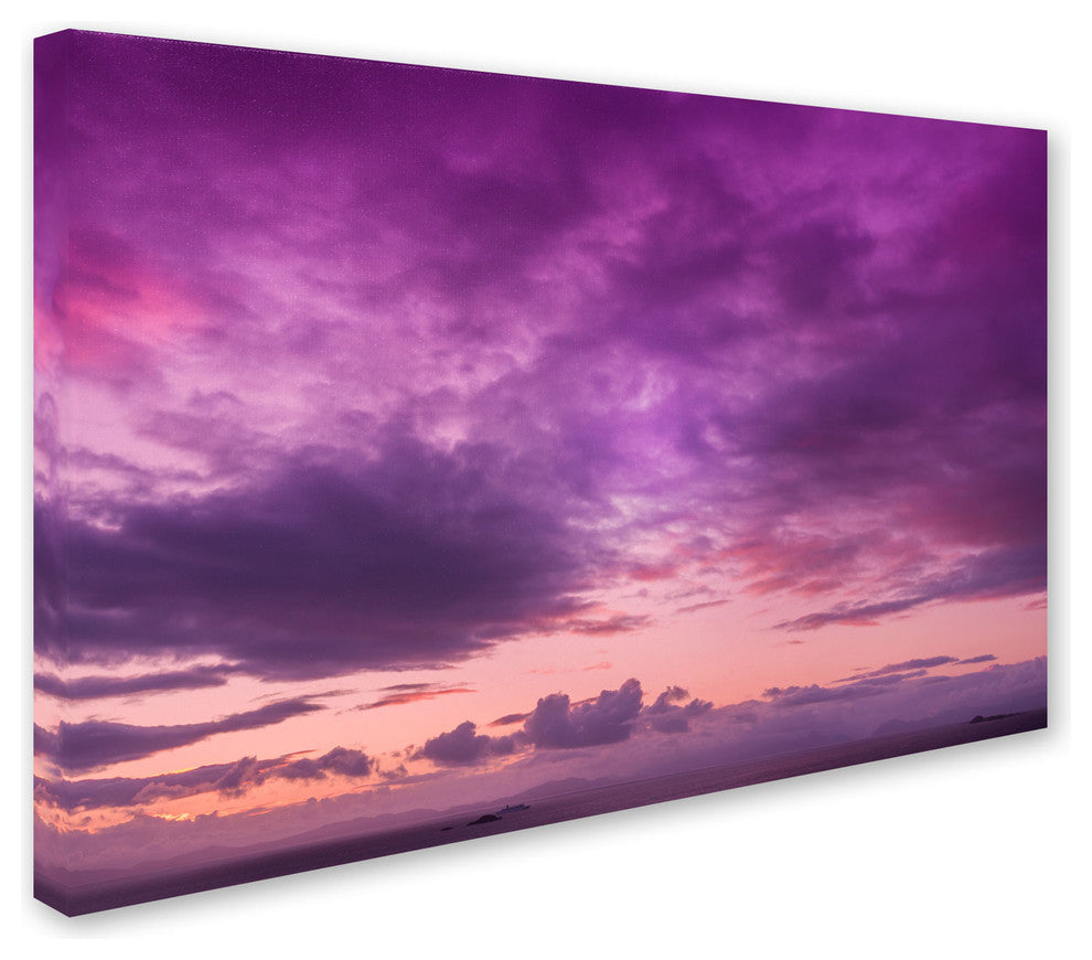 'Fool in Love' Canvas Art by Philippe Sainte-Laudy