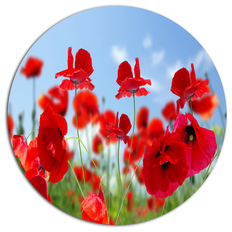 Close-Up Of Amazing Poppy Flowers, Floral Disc Metal Artwork, 23"