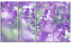 Beautiful Purple Mint Flowers, Large Flower Canvas Wall Art, 48"x28", 4 Panels