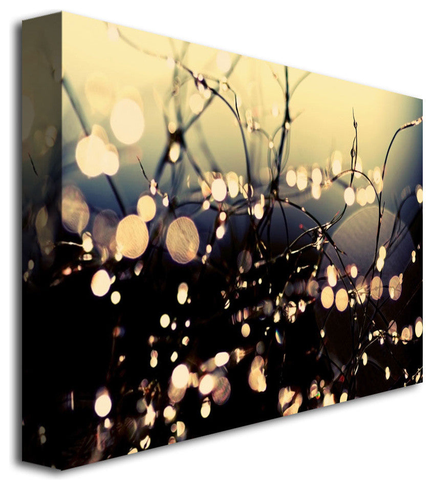 'When Fairies Dance' Canvas Art by Beata Czyzowska Young