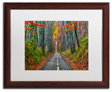 'Paths' Matted Framed Canvas Art by CATeyes