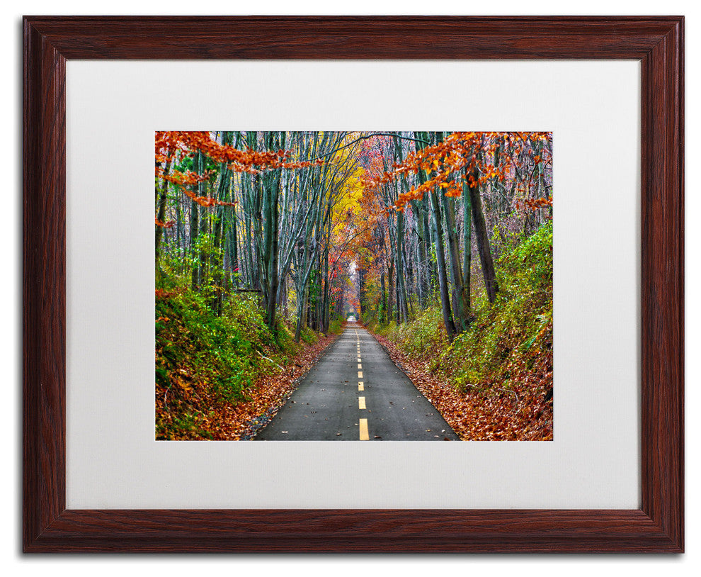 'Paths' Matted Framed Canvas Art by CATeyes