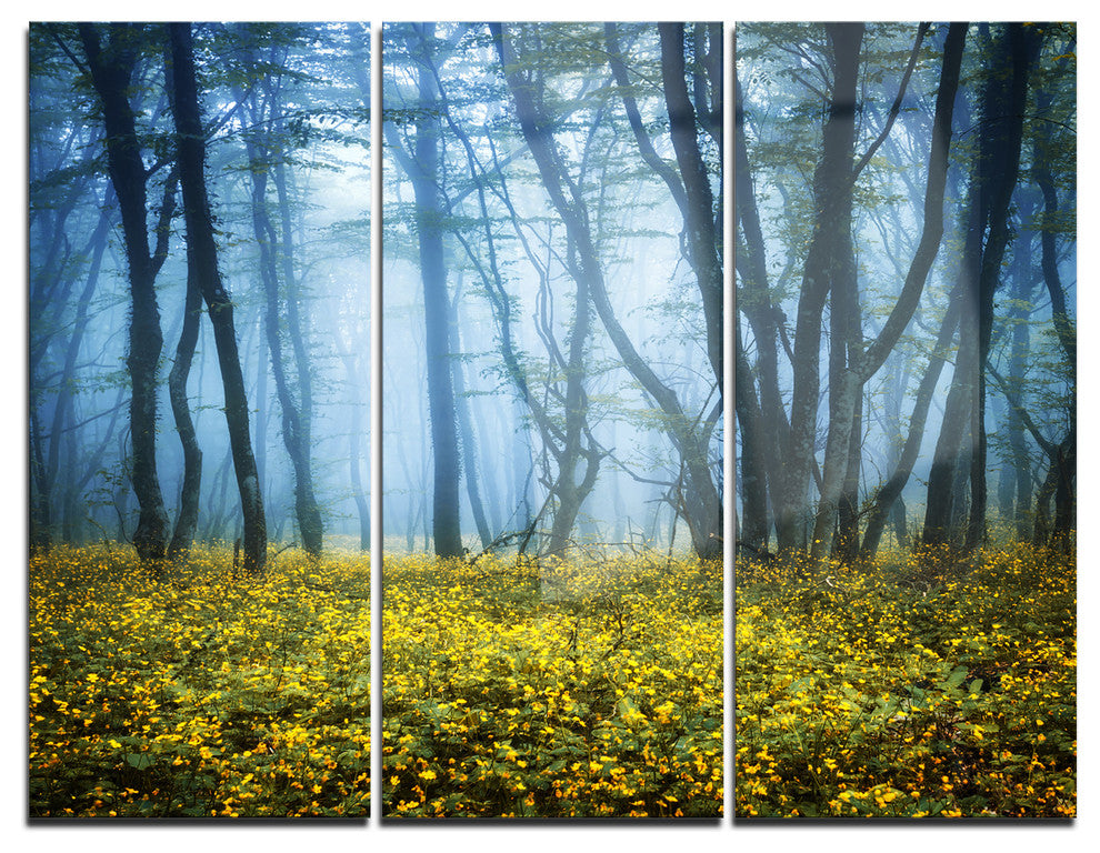 "Mysterious Forest Fog Everywhere" Photo Metal Wall Art, 3 Panels, 36"x28"