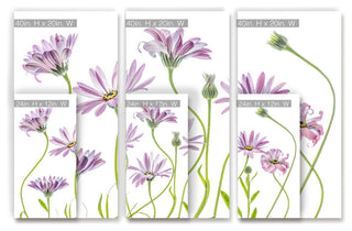 Ready2HangArt 'Cape Daisies I' 3-Piece Canvas Wall Decor Set, 60"x40"