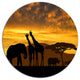 Giraffes And Elephant And Rhino, African Round Wall Art, 23"