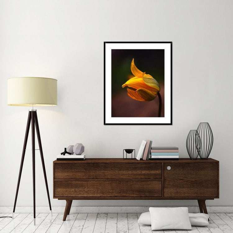 "Shine" Framed Digital Print by Kent Mathiesen, 36x44"