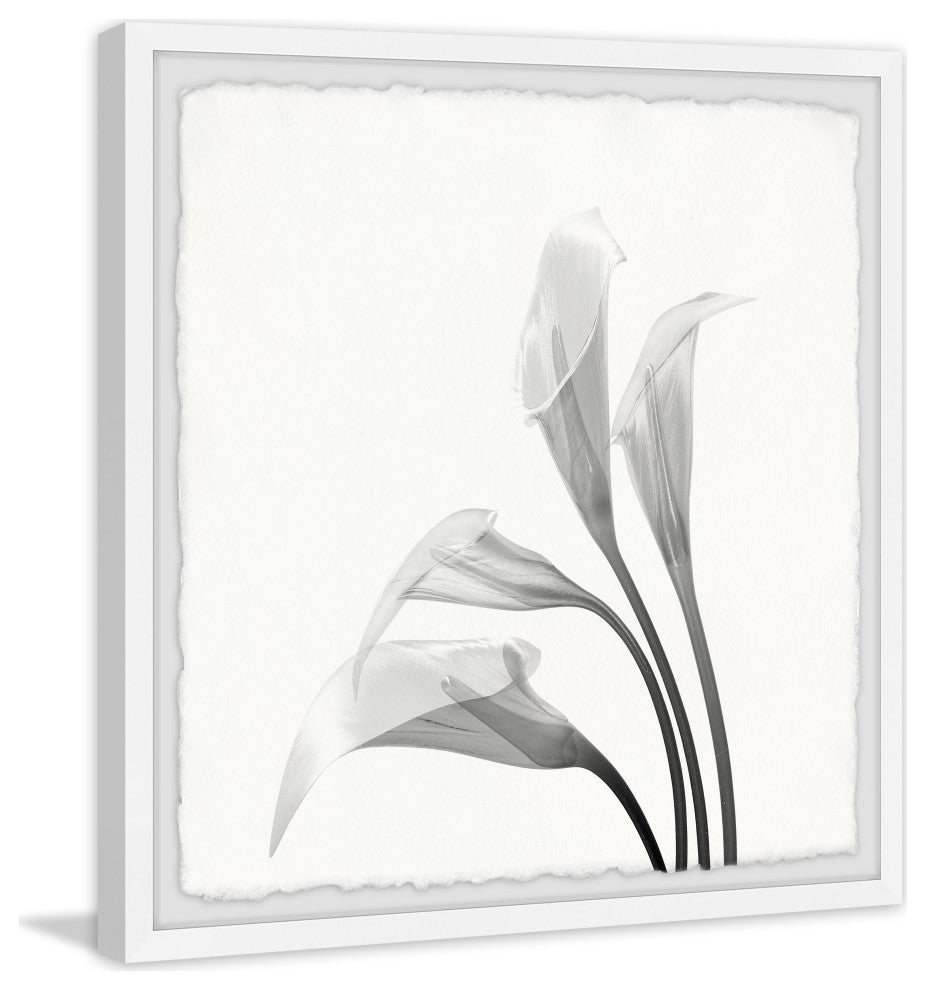 "Flower From the Sky" Framed Painting Print, 32x32