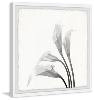 "Flower From the Sky" Framed Painting Print, 32x32