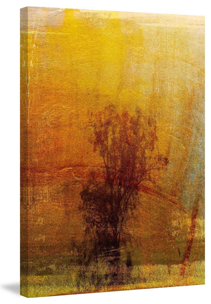 "Griffith Park VII" Painting Print on Canvas by Aryai
