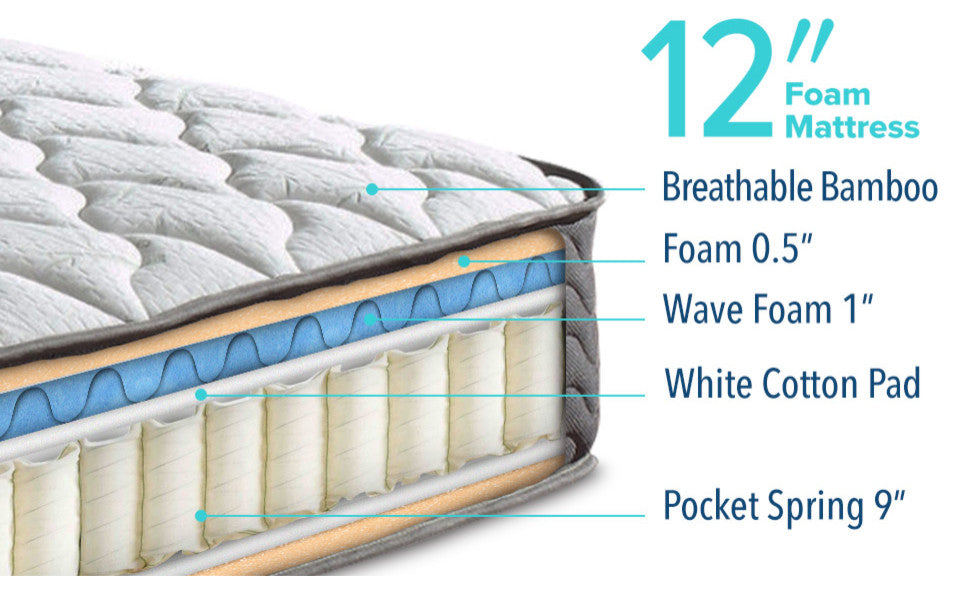 12" Encased Coil Pocket Spring Contour Mattress, King