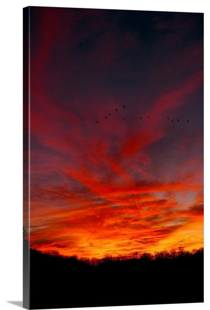 "Migration" Wrapped Canvas Art Print, 16"x24"x1.5"