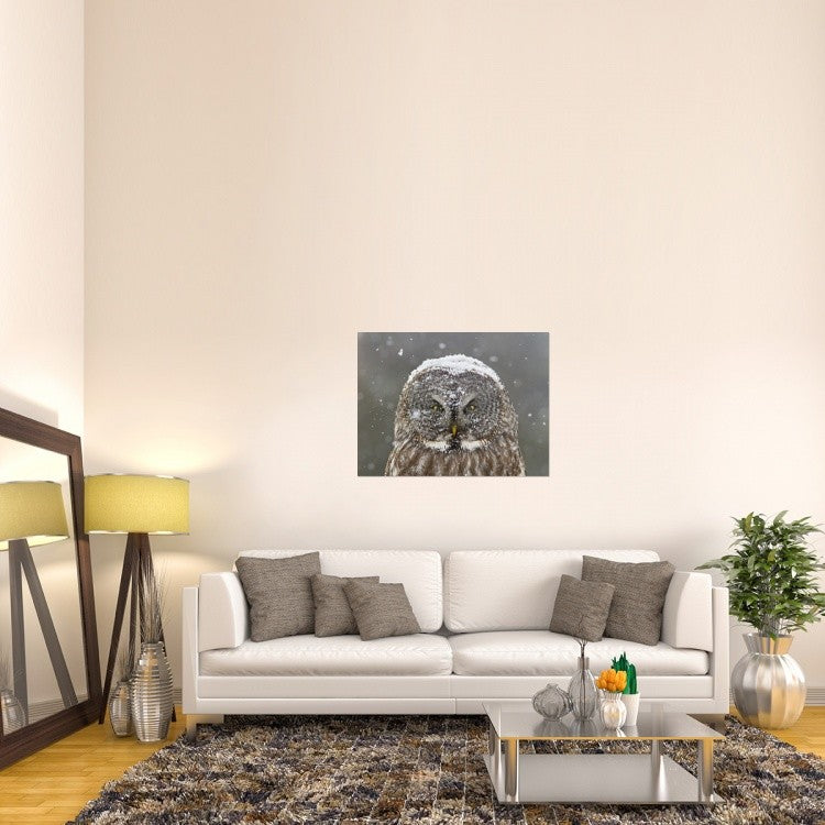 "Great Grey Owl Winter Portrait" Canvas by Mircea Costina, 40x30"