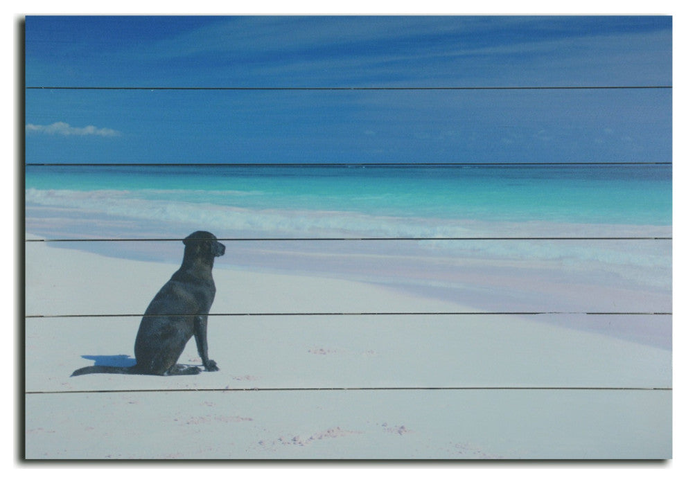 26" Energetic Dog at the Beach Wood Plank Wall Art