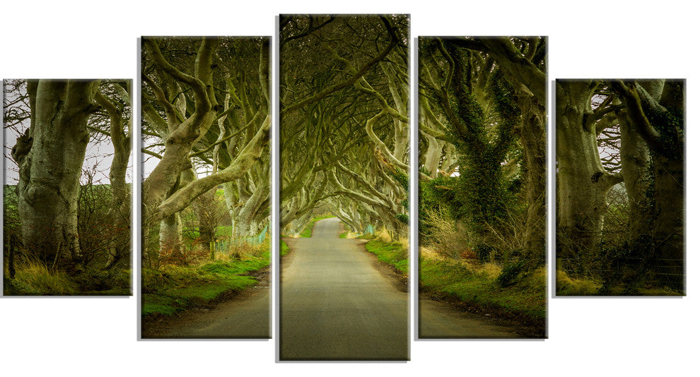 Dark Hedges Road through Old Trees, Landscape Canvas Print, 60"x32", 5 Panels