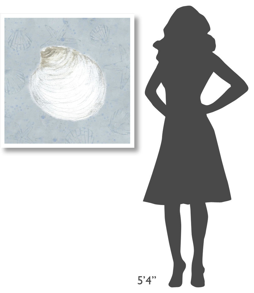 "Serene Shells II" Digital Paper Print by James Wiens, 32"x32"