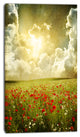 Wild Poppies on Cloudy Background, Extra Large Landscape Canvas Art, 16"x32"