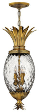 Hinkley Plantation Large Pendant, Burnished Brass
