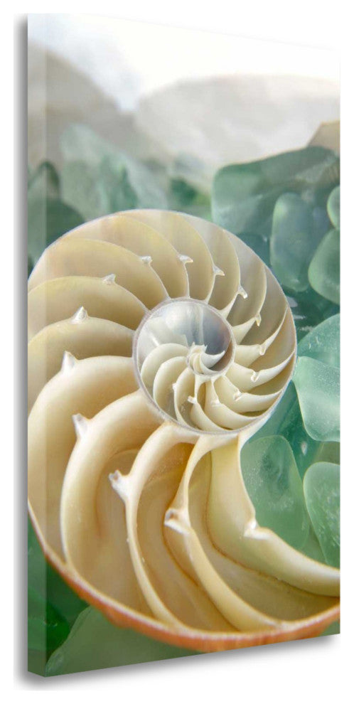 27" Seashell and Seaglass Giclee Wrap Canvas Wall Art