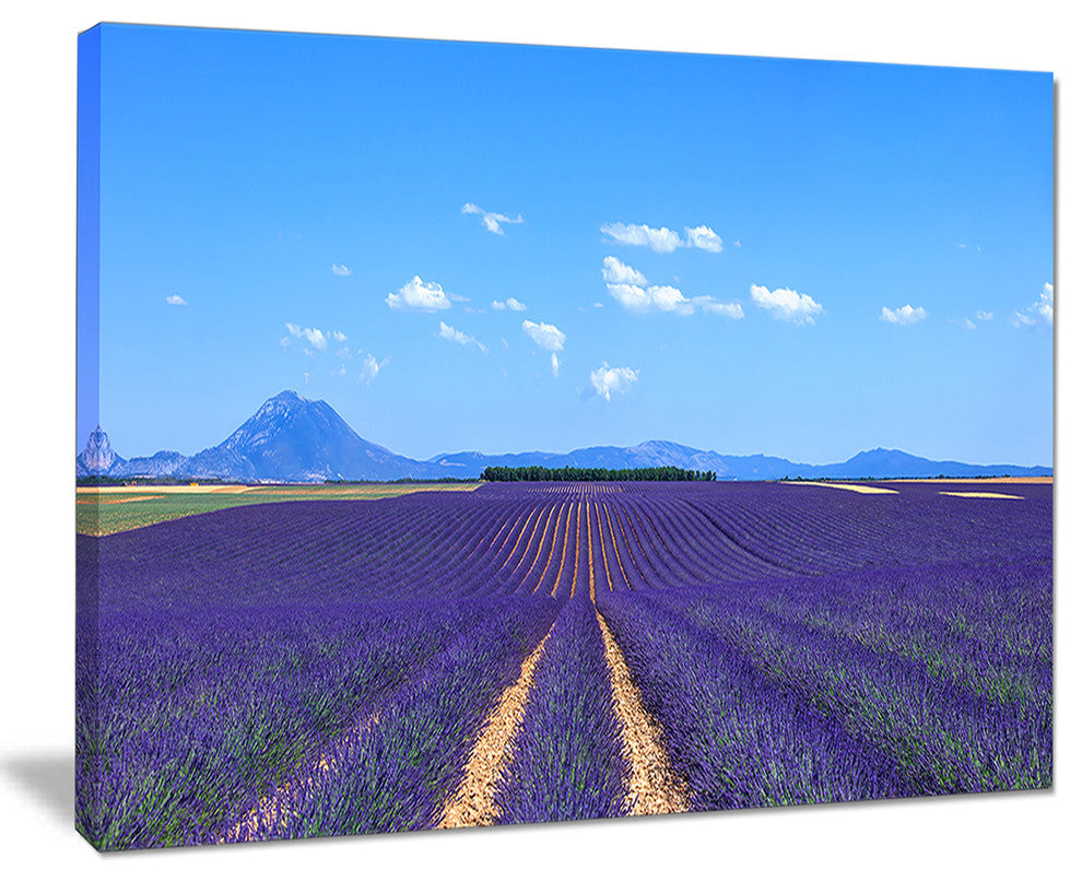 "Lavender Blooming Fields And Trees" Landscape Wall Art Print, 40"x30"