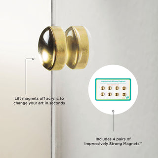 Easy Change Memo Board + Magnets