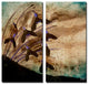 Painted Petals XV Canvas Art, 5-Piece Set 2-Panels