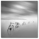 ''My Way'' Canvas Art by Moises Levy