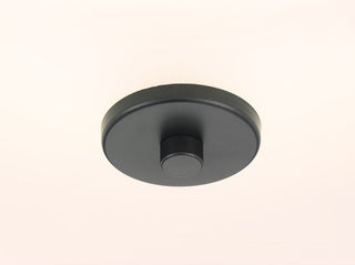Inspire Collection 2-Light Semi-Flush, Graphite