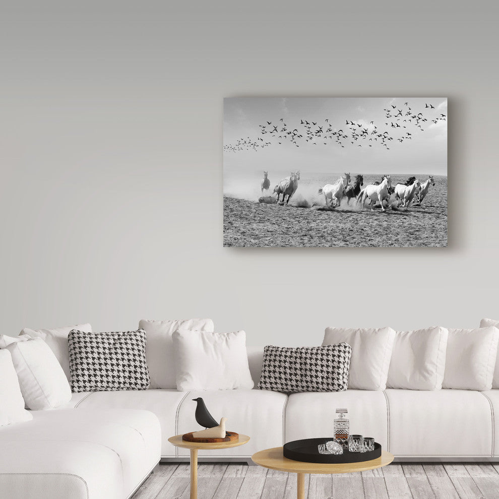 "Wild Horses" by Ata Alishahi, Canvas Art