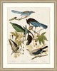 Magpie And Friends, Giclee Reproduction Artwork